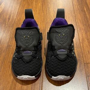 Lebron James Nike Running Shoes